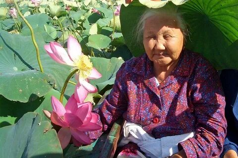 Цветок для калмыка