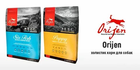 Лучшие сухие корма для собак холистик