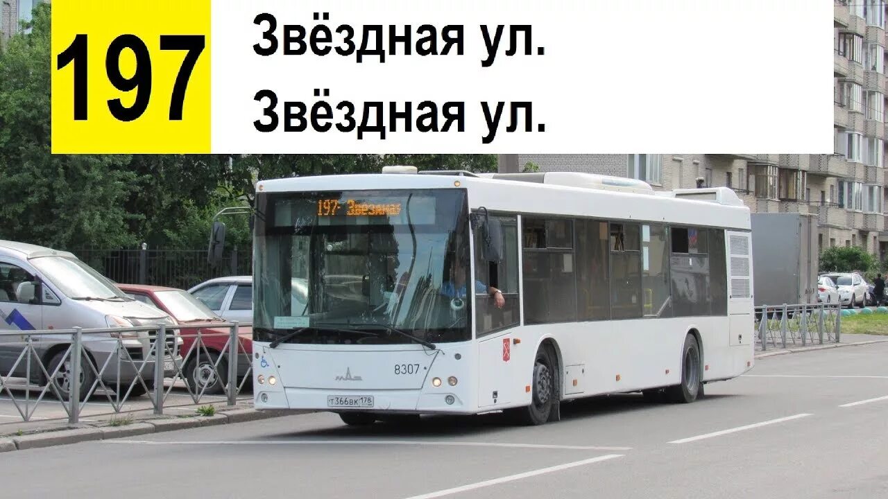 Автобусы вектор некст в ярославле. Большой 197 автобус бело-синий омск 872. Автобус из аэропорта казани 197. Автобус 23 хабаровск. 197 автобус казань.