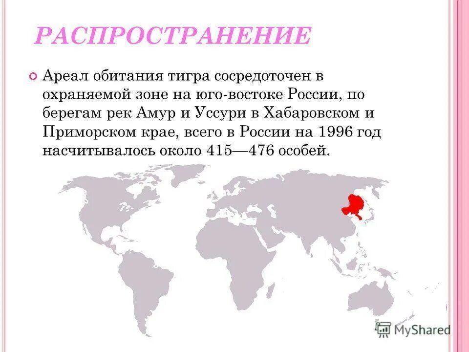 Распространение ареалы обитания. Амурский тигр ареал обитания. амурский тигр ареал обитания на карте россии. ареал обитания амурских тигров. ариал о итания амурского тигра.