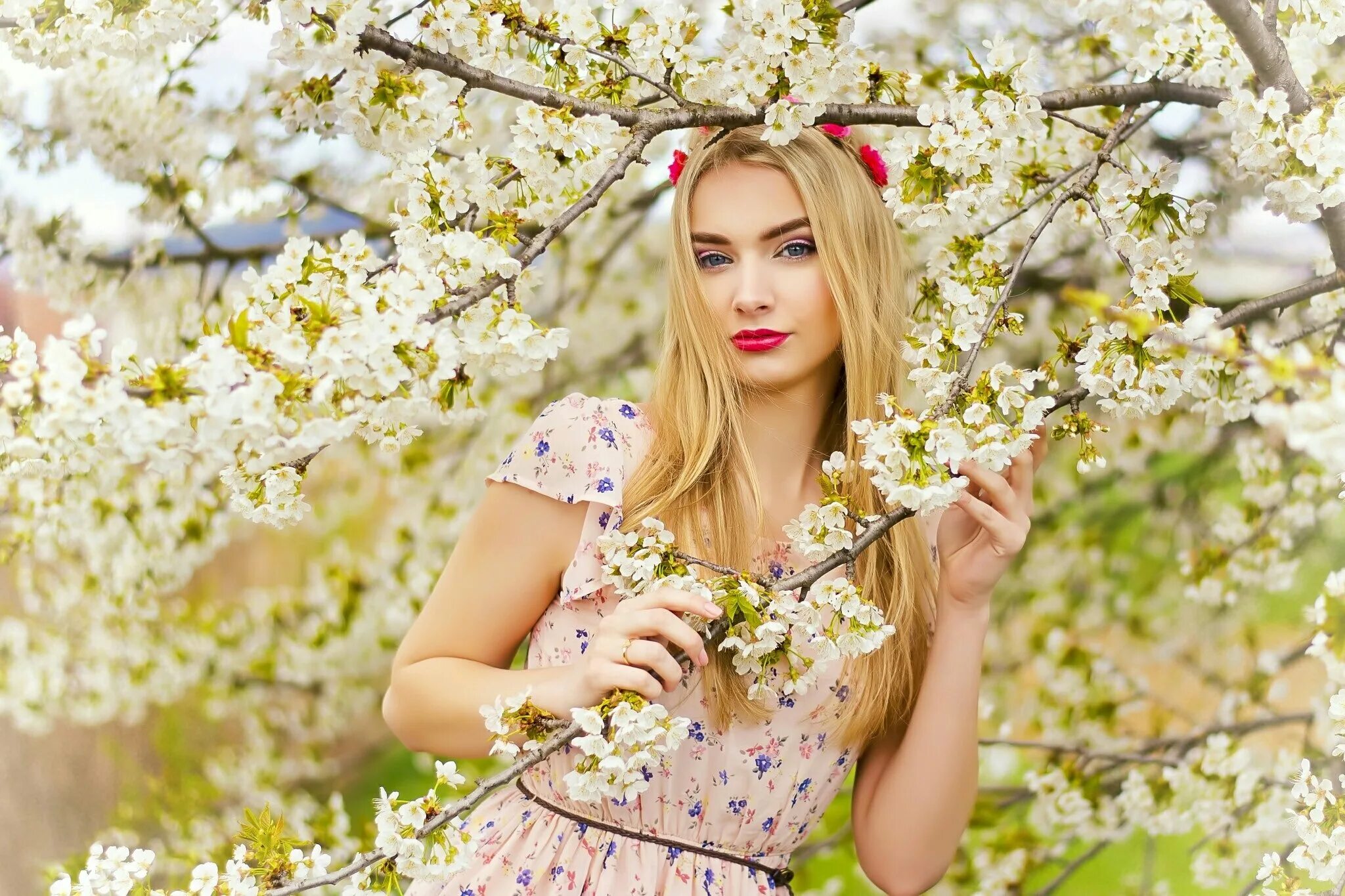 Яблони в цвету весны. Фотосессия в цветущих деревьях. Девушка в цветущих яблонях. Девушка в цветущем саду.