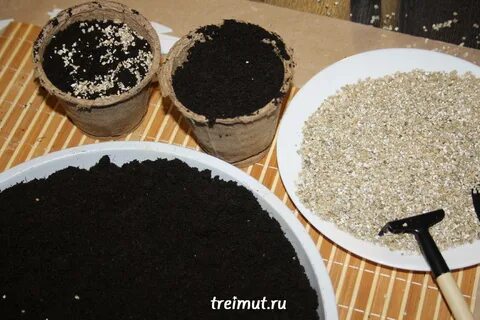 Приготовленный грунт