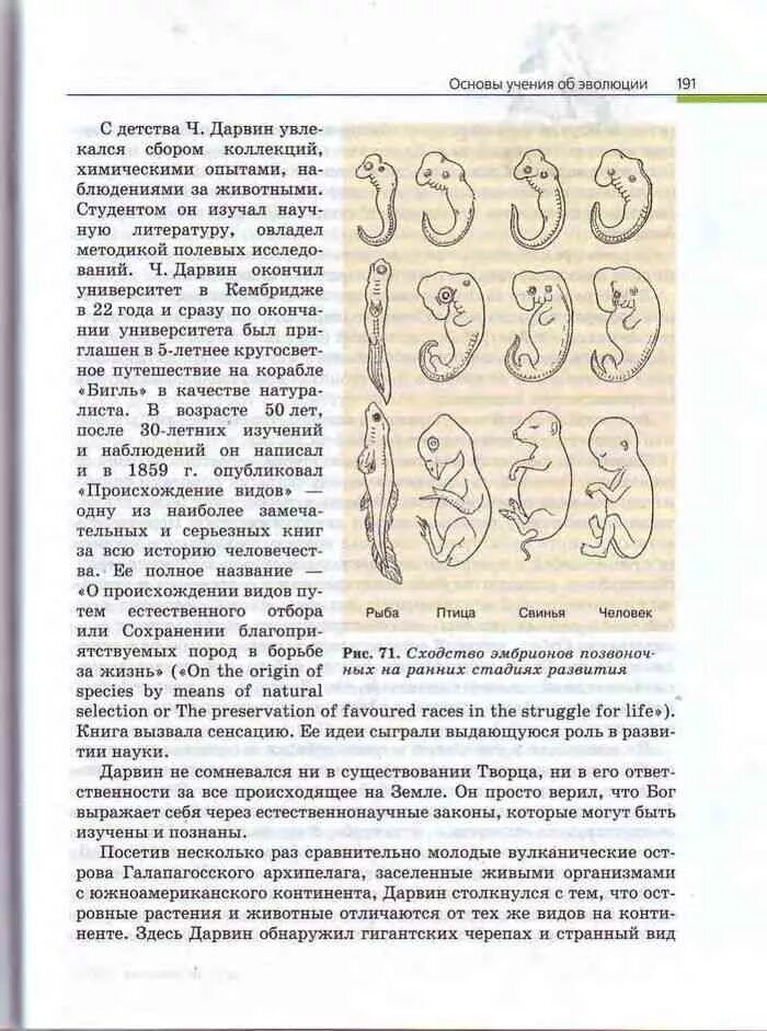 Биология 10 класс пасечник базовый уровень читать. Книга биологии 10 класс пасечник. учебник по биологии 10 класс пасечник каменский. биология 10 класс базовый уровень пасечник. книга по биологии каменский криксунов пасечник.