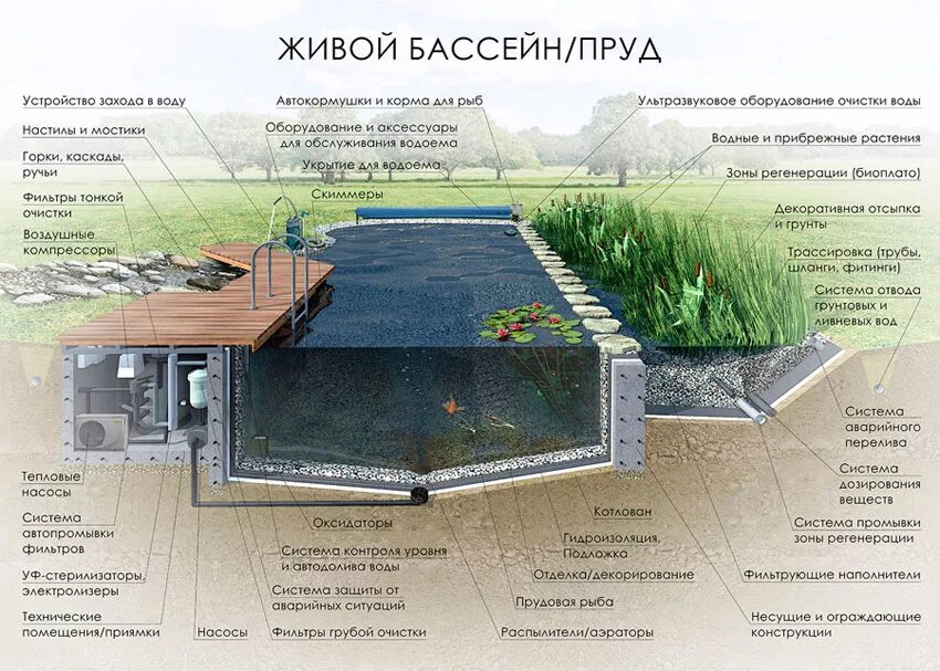 Конструкция водоема. Биоплато для пруда схема. Плавательный пруд с биоплато чертеж. Чертежи прудов с биоплато. Плавательный пруд с биоплато схема.