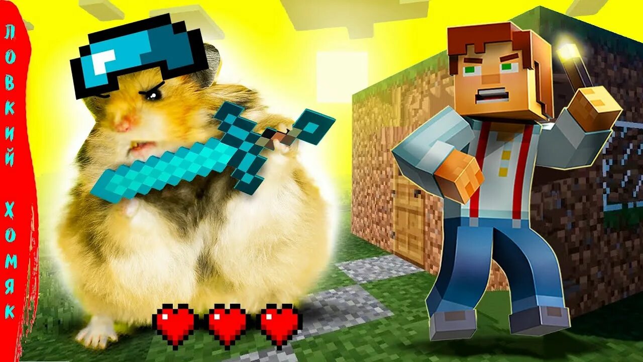 Скин хомячка для девочек для майнкрафт. Скин hamster combat. Скин hamster combat. Скин хамстер. Скин хамстер.