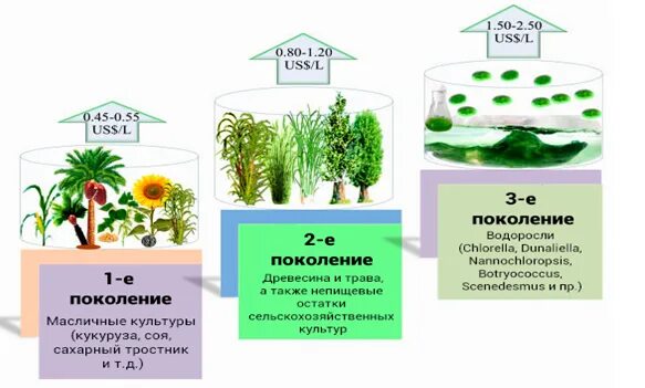 Топливо 3 поколения. Биотопливо первого, второго и третьего поколений. Биотопливо 1 2 и 3 поколения. Биотопливо 3 поколения микроводоросли. Биотопливо 2 поколения.