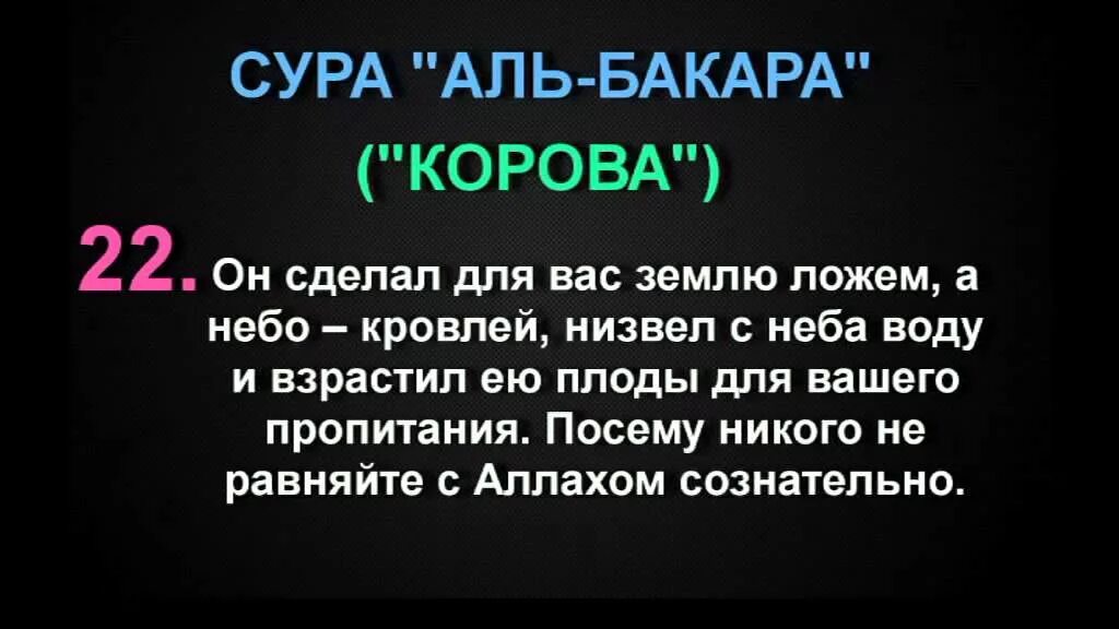 Сура 2 корова. Аль Бакара. Сура. Сура Аль Бакара корова. Сура корова аят 22.