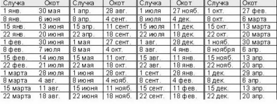 Через сколько месяцев приходят. Таблица окотов у коз. Календарь окота козы таблица. Календарь беременности коз таблица. Беременность у козы Продолжительность.