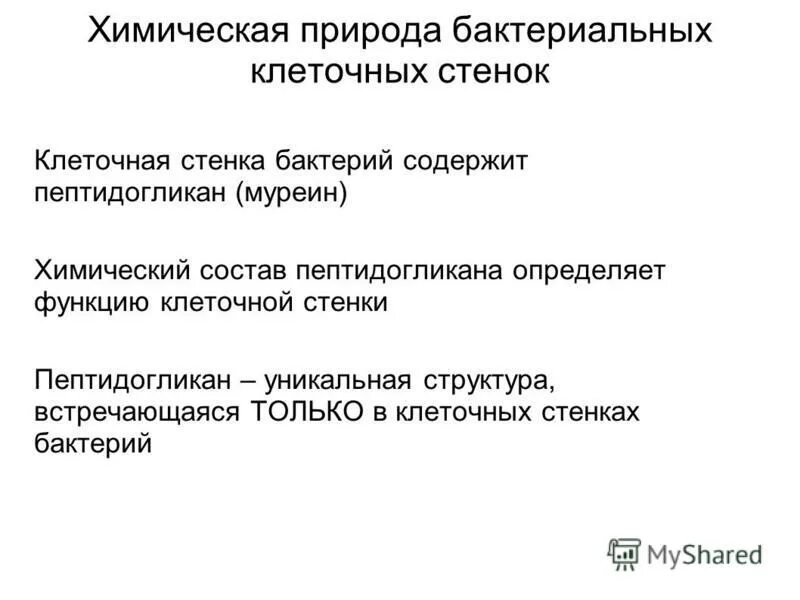 Клеточная стенка бактерии содержит муреин. Клеточная стенка бактерии содержит муреин