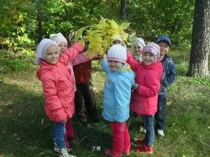 Кравченко прогулки в детском саду средняя группа
