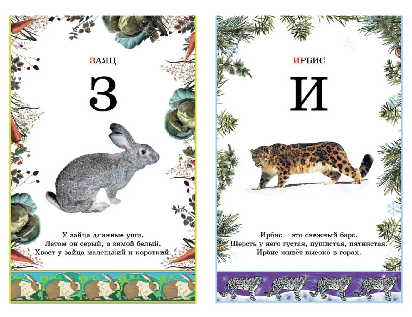 В названии лесного зверька две буквы. Азбука животных. Животное на букву а. Азбука и животные. Иллюстрированная Азбука животного мира.