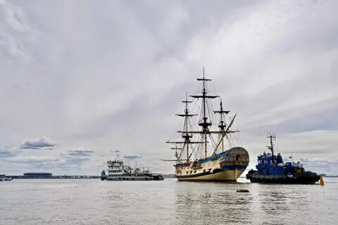 Морская полтава