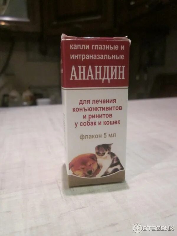 Интраназальные капли. Анандин капли глазные. анандин капли коту. интраназальные капли для собак. анандин мазь.