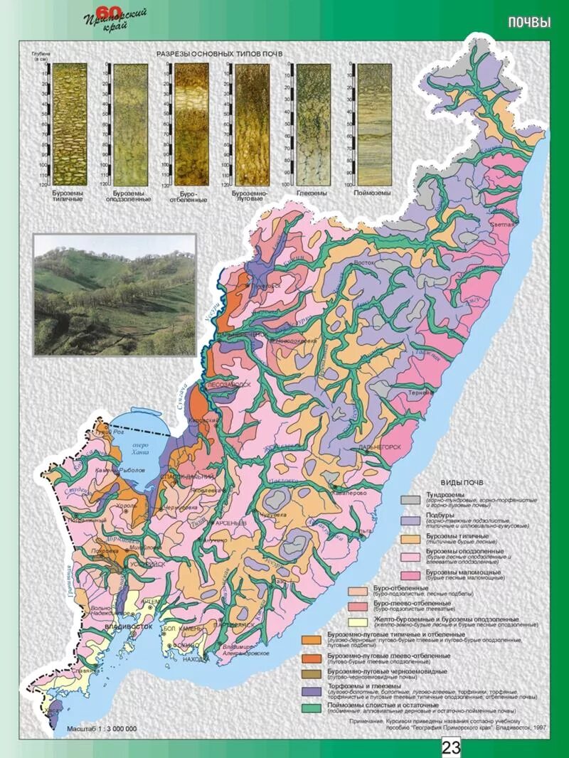 Карта почв Приморского края. Карта грунтов Хабаровского края. Почвы Хабаровского края. Карта ландшафтов Приморского края.