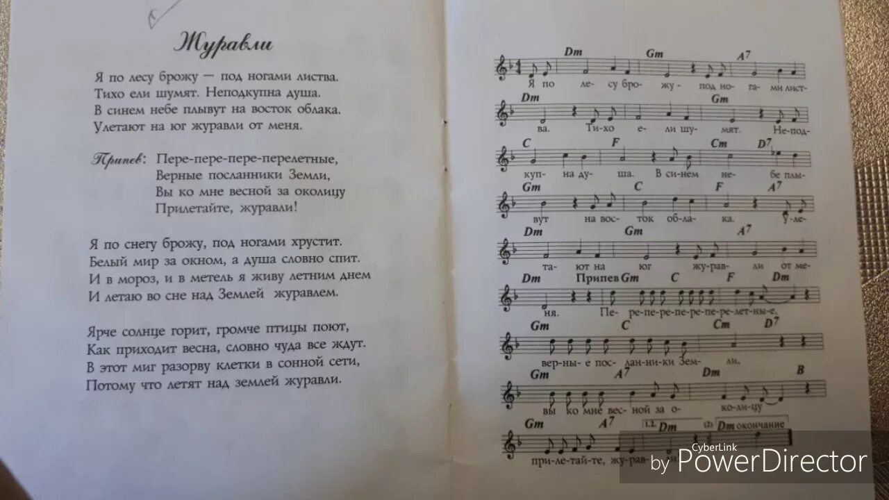 Журавли далеко далеко на гитаре. Журавли слова. Текст песни Журавли. Улетели Журавли слова. Далеко Журавли улетели текст.