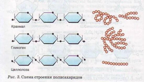 Полимерами не являются гликоген крахмал целлюлоза. Крахмал гликоген целлюлоза строение. целлюлоза схема строения. схема строения полисахаридов. полисахариды крахмал гликоген целлюлоза.