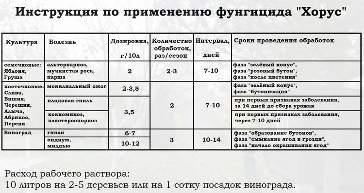 При какой температуре действует хорус. Хорус фунгицид. Хорус дозировка на 10 литров. Хорус фунгицид инструкция по применению. Хорус препарат для обработки.