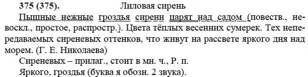 Пышные нежные грозди сирени царят над садом стиль текста. 5 Класс русский язык упр.422; стр. Пышные нежные грозди сирени царят над садом синтаксический разбор. Синтаксический разбор предложения пышные нежные грозди. Русский язык 7 класс упр 422