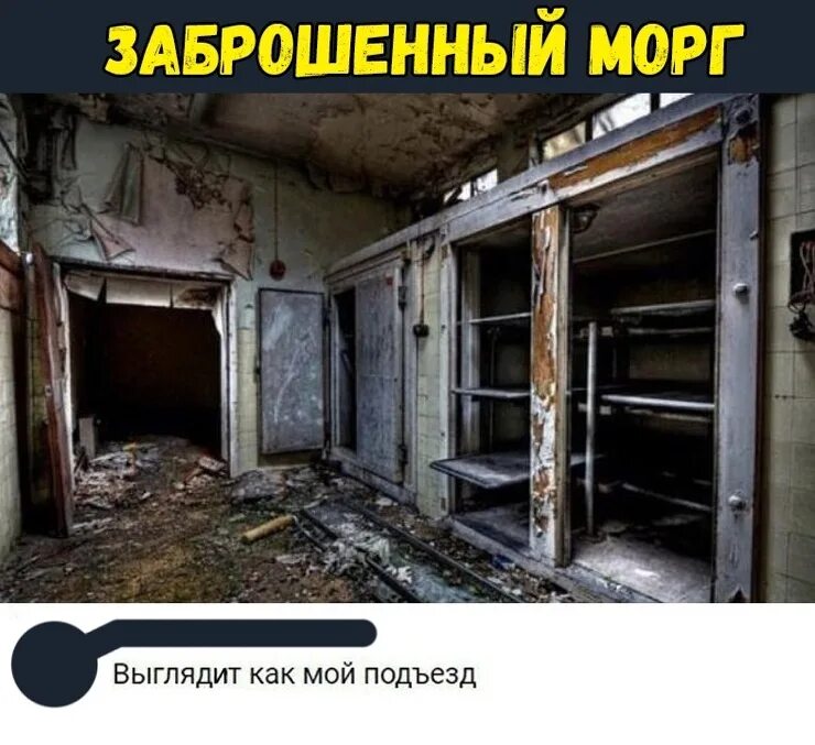 Как лена лена это я. Коты приколы с надписями. Как выглядит как там. Норвежская тюрьма хальден. Не смешите меня.