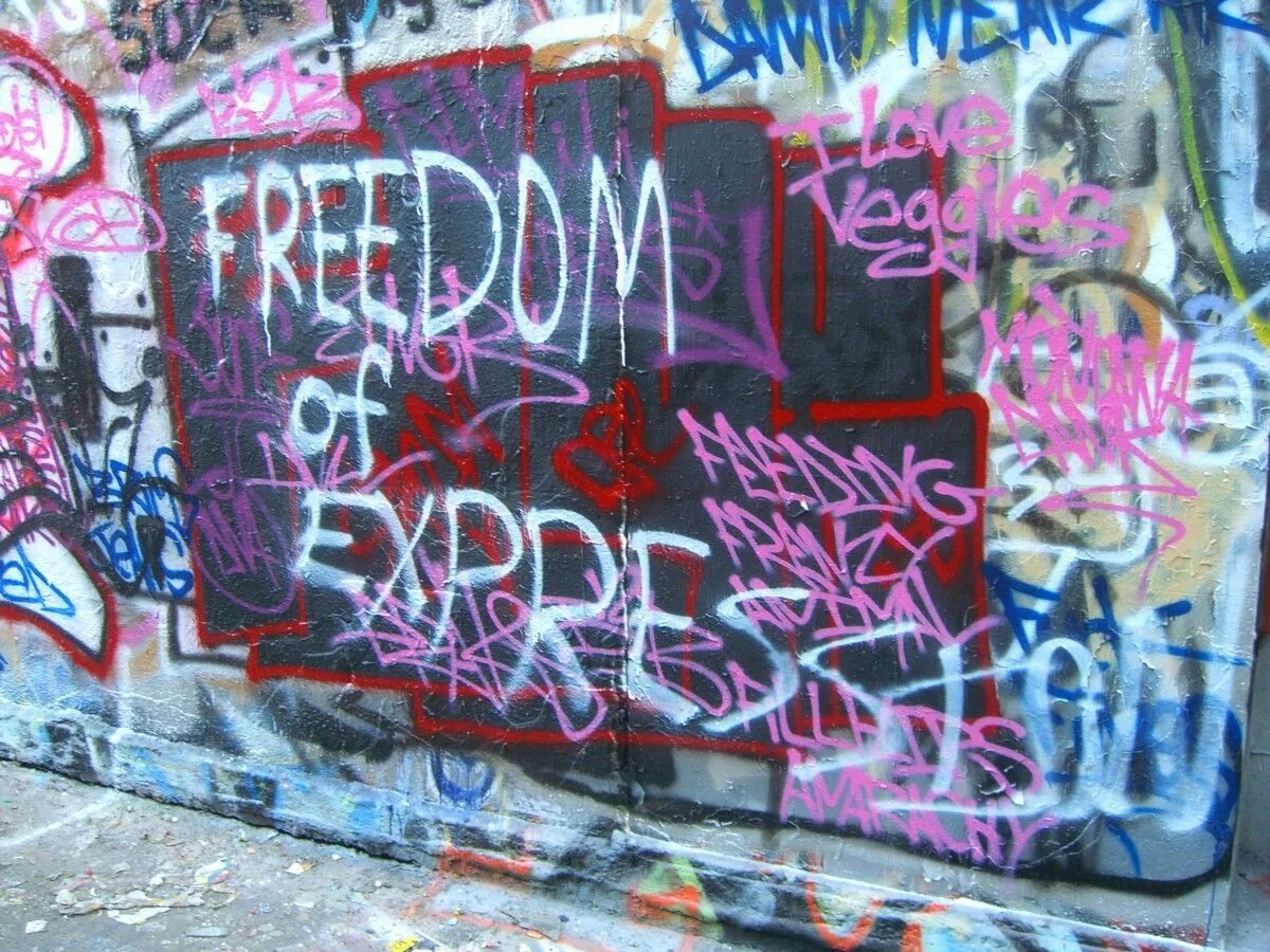 Freedom of expression. Freedom of expression