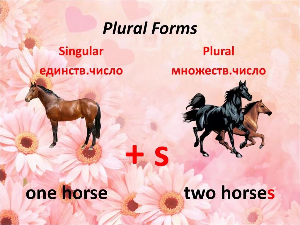 Horse множественное. Plural Horse. Horse презентация на английском. Презентация о хорсе. Horse plural form.