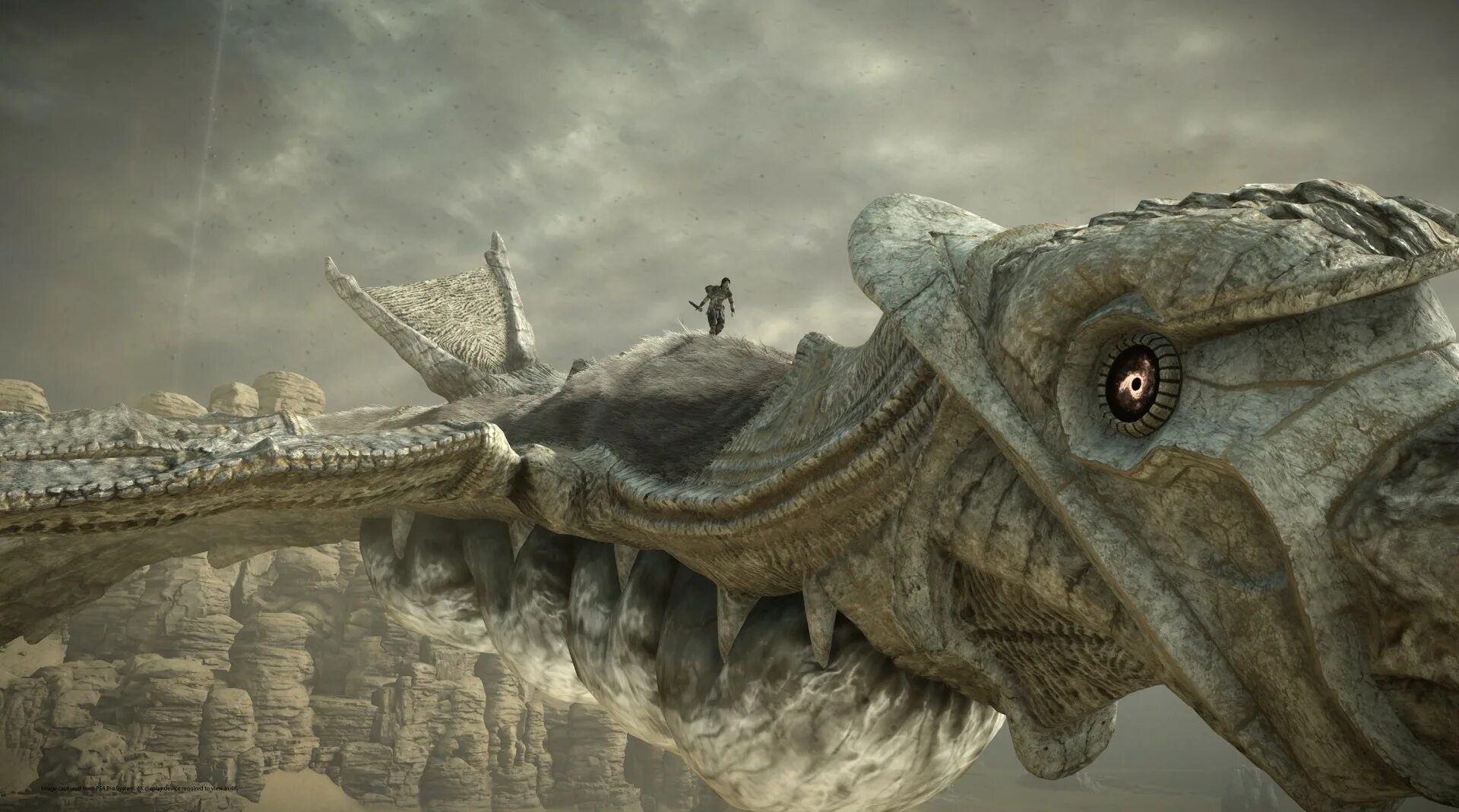 Игра колосс. Shadow of the colossus ps4. игра для ps4 shadow of the colossus. shadow of the colossus (2018). shadow of the colossus колоссы.