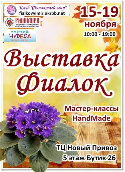 Выставка фиалок в марте 2024. Выставка фиалок. Выставка фиалок в Мурманске 2022. Выставка фиалок 2022. Выставка фиалок 2024.