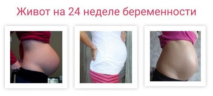 29 неделя тянет живот. Живот на 24 неделе беременности. Живот при беременности на 24 неделе. Животик на 24 неделе беременности.