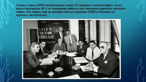 Опек заключение