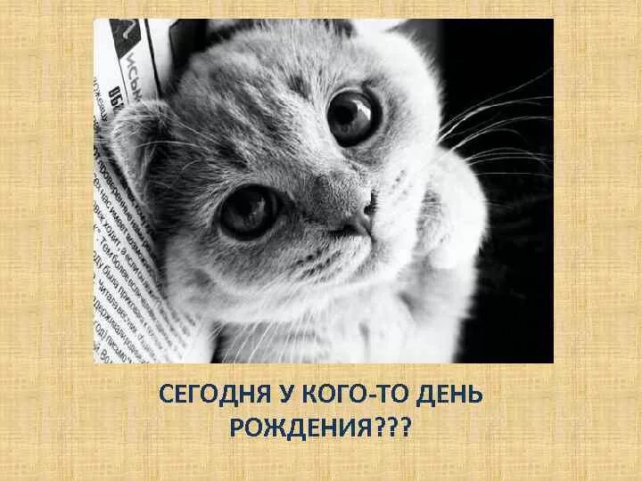 А У кого тут сегодня день рождения. Кажется у кого-то день рождения. У кого-то день рождения. Картинка у кого тут день. Туту день