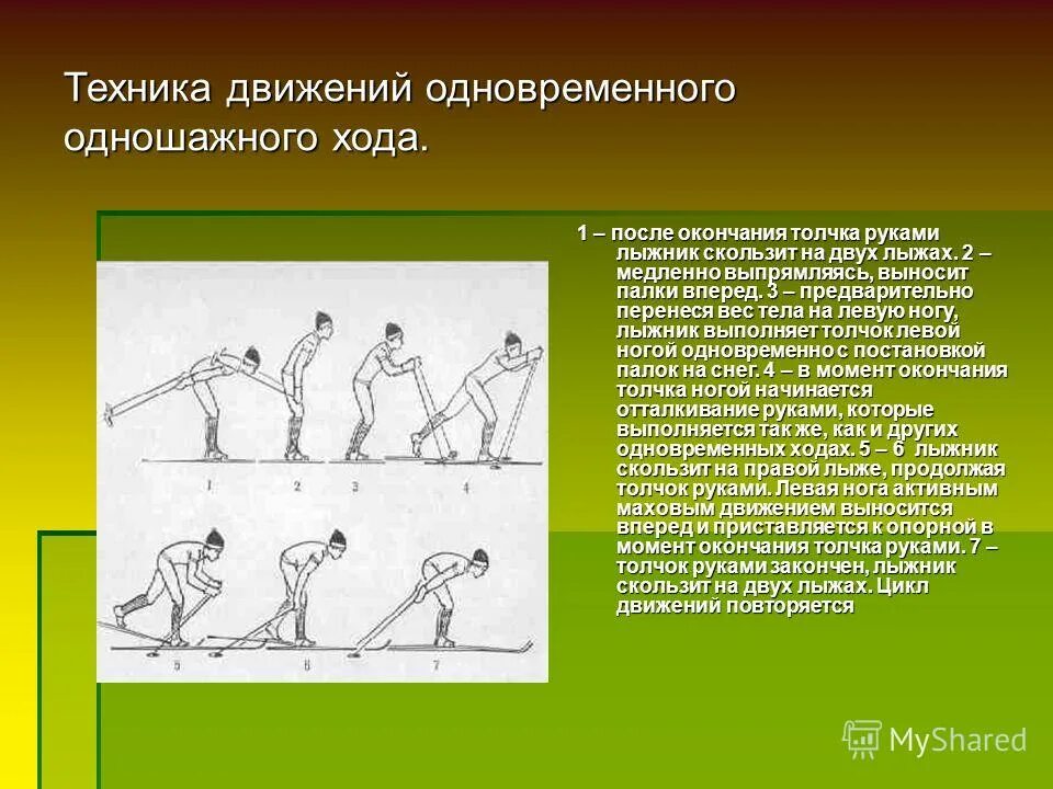 Подводящие упражнения одновременно одношажного хода. Подводящие упражнения одновременно одношажного хода. Скоростной вариант одновременного одношажного хода. Методика обучения одновременного одношажного хода. Скоростной вариант одновременного одношажного хода.