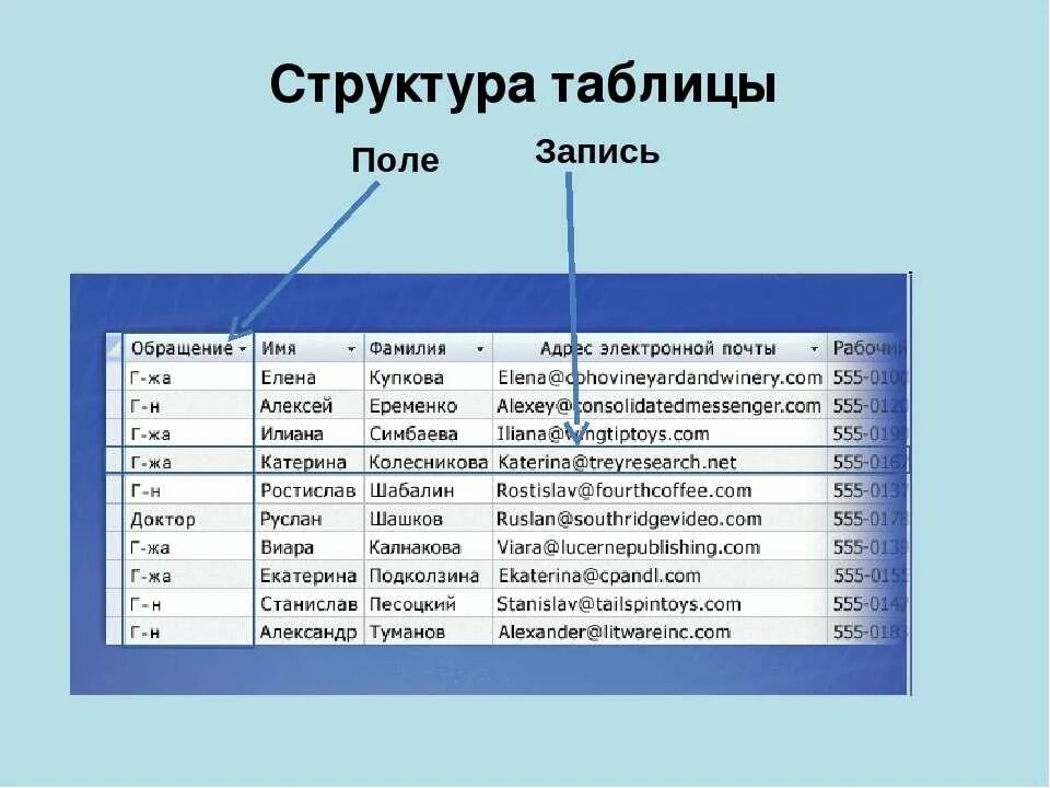 Для чего используется списки приведите примеры информатика. Структура таблицы базы данных. База данных таблица. Структура данных таблица. Структура таблицы БД.