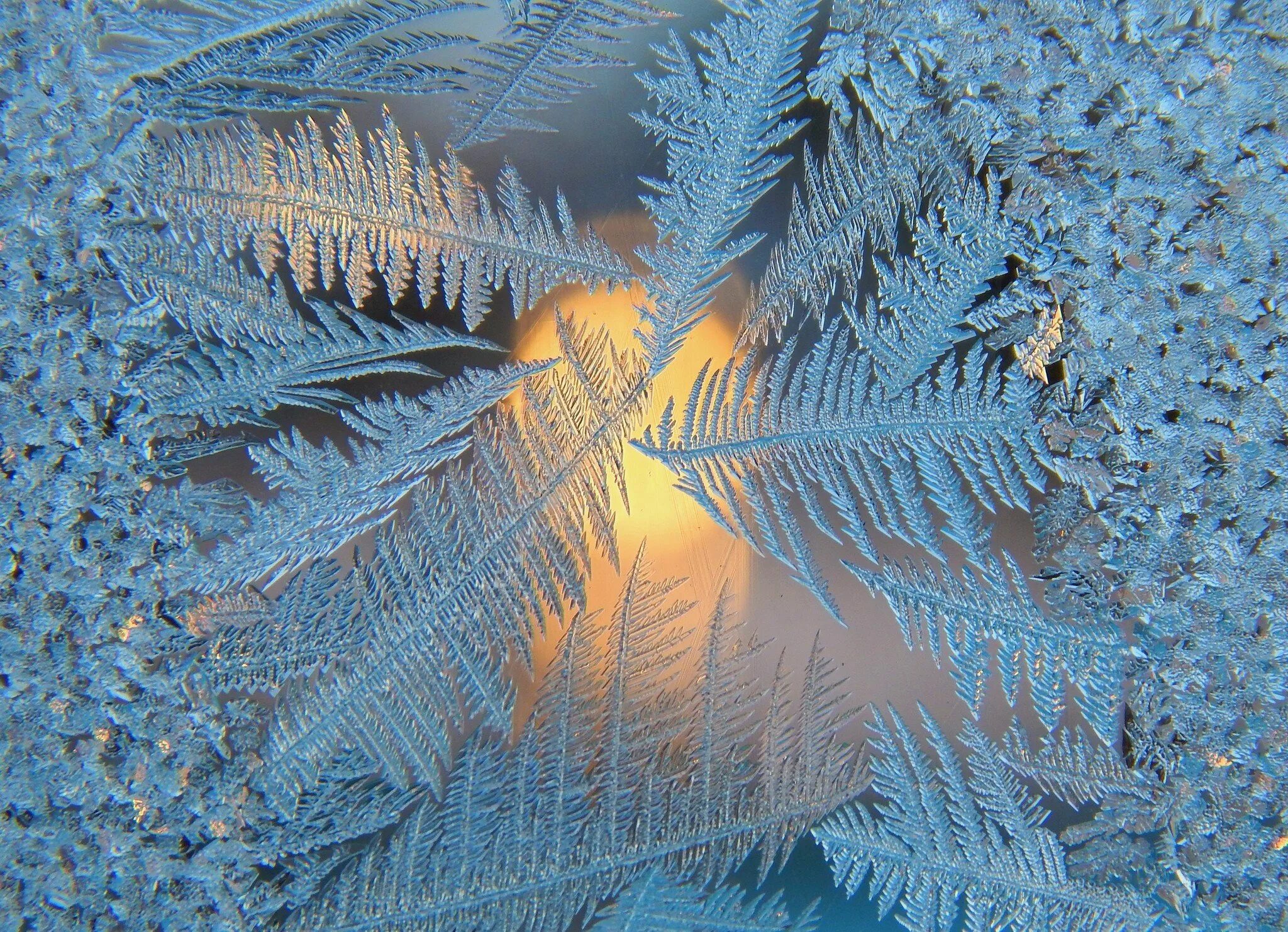 Морозные узоры. Морозные узоры на окне. Морозные узоры. Морозные узоры. Морозные узоры на окне.