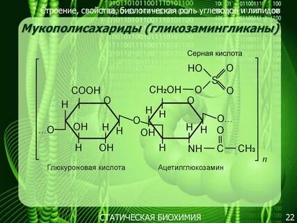 Мукополисахарид