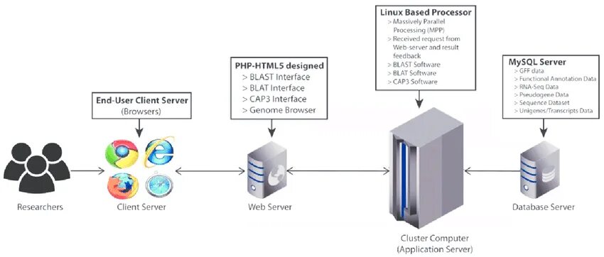 Модули веб сервера. Архитектура приложения application Server. Архитектура клиент сервер схема веб. Структура сервера приложений. Структура application Server.
