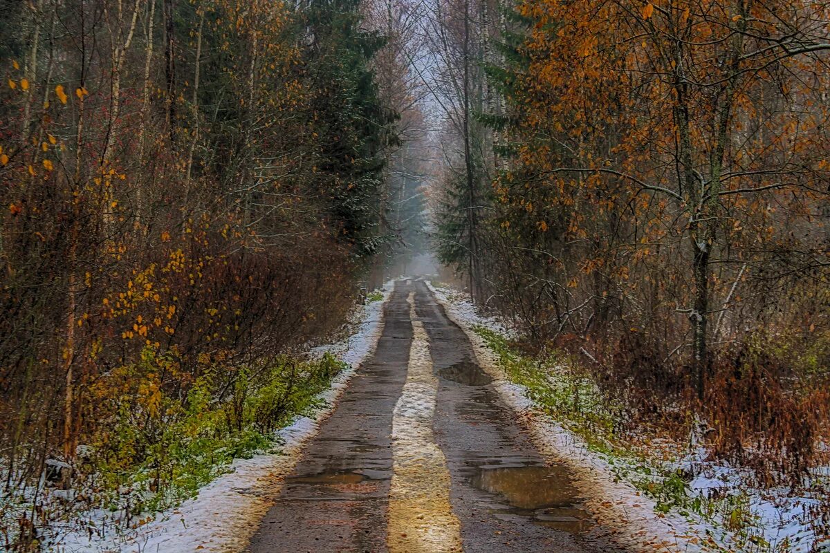 пейзаж дороги. поздняя дорога. осенняя проселочная дорога. поздняя осень дорога в деревне. поле поздней осенью россия.