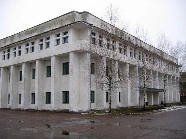 Детская библиотека новозыбков. Библиотека новозыбков. Г. Библиотека новозыбков. Новозыбков центральная библиотека.