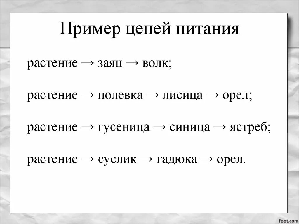 Привести пример пищевой цепи