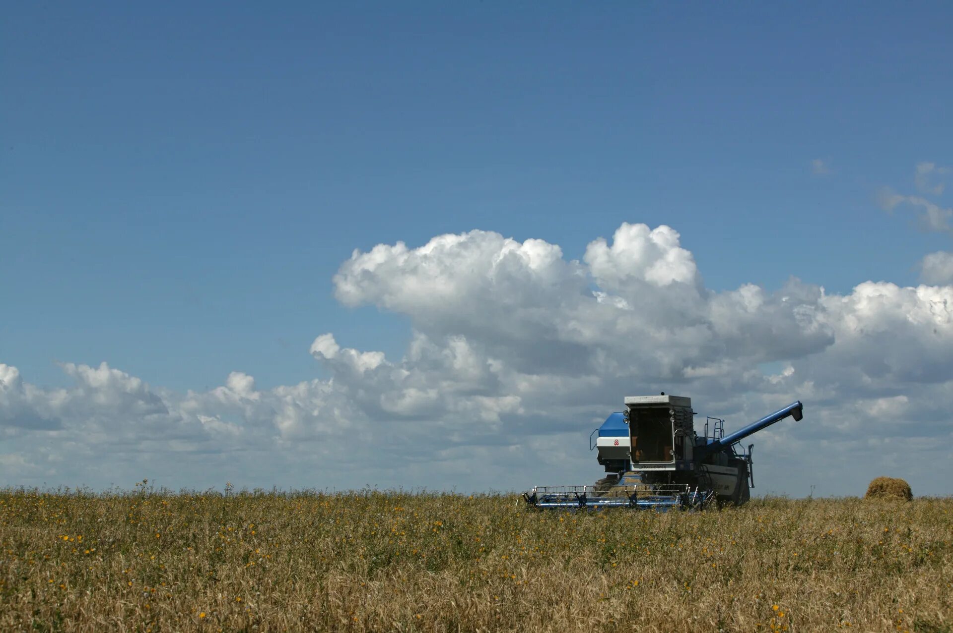 Не с существительными предложения. Хакасия земледелие. Уборка зерновых в крыму. Двухфазная уборка зерновых. Ооо колос кубани.