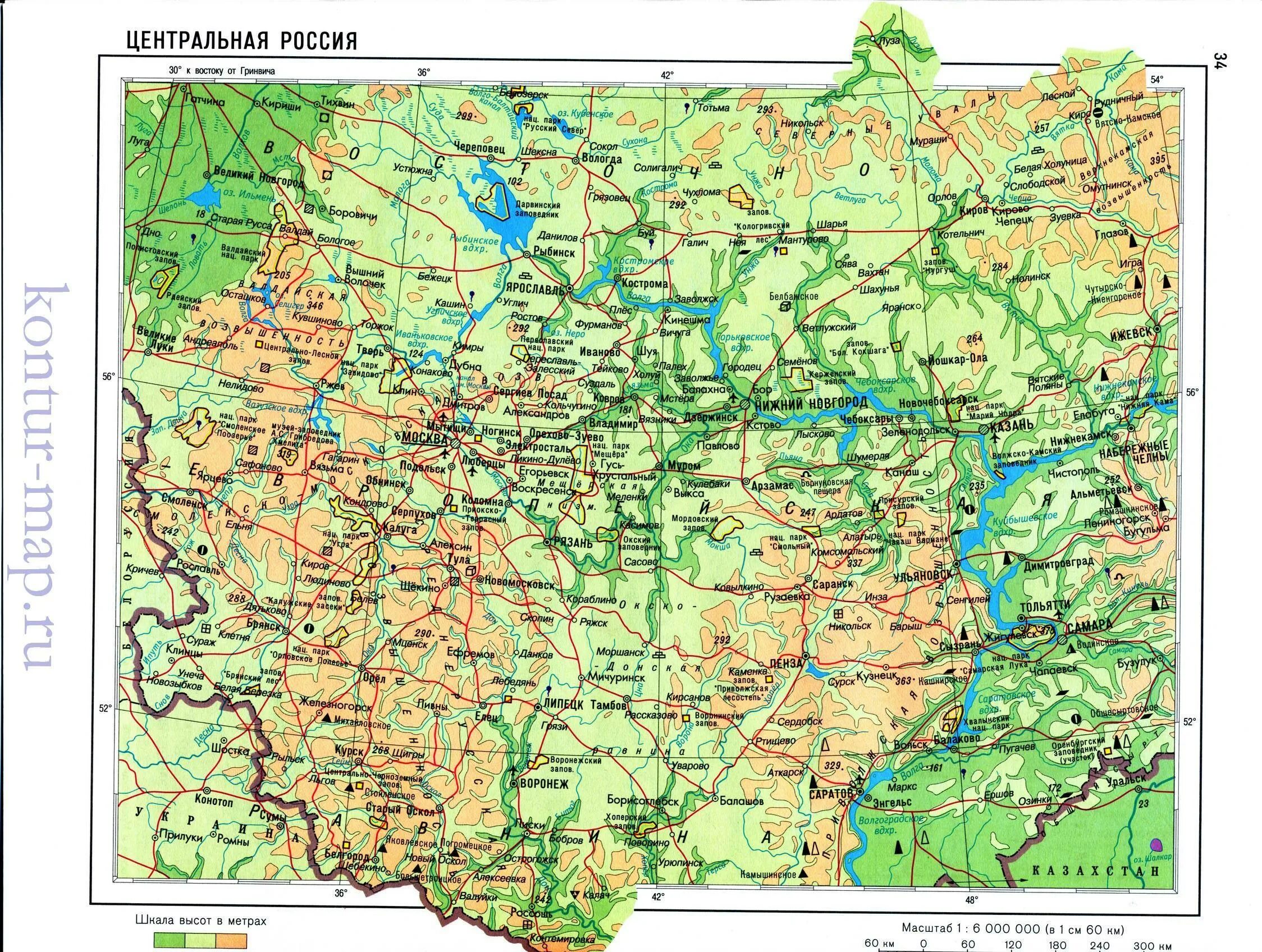 Границы районов центральной России на физической карте. Физико географическая карта центральной России. Физическая карта центральной России. Физическая карта центральной России рельеф.