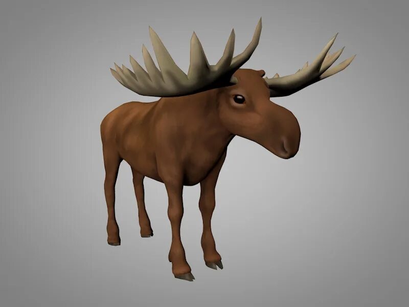 Рога 3д модель. Рога и копыта 3d модель. олень в cinema. лось 3 года. moose poly.