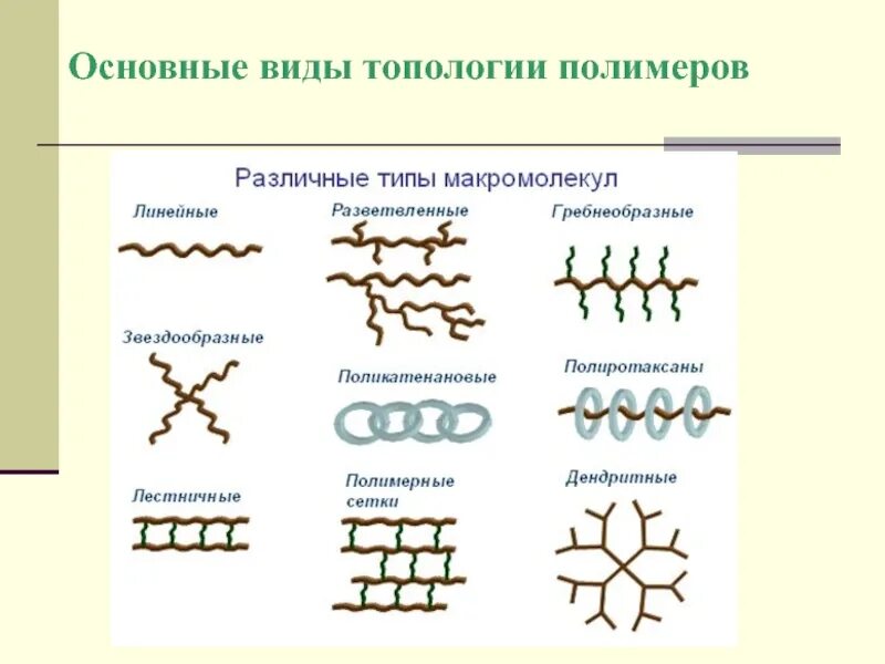 В 16 различных типов