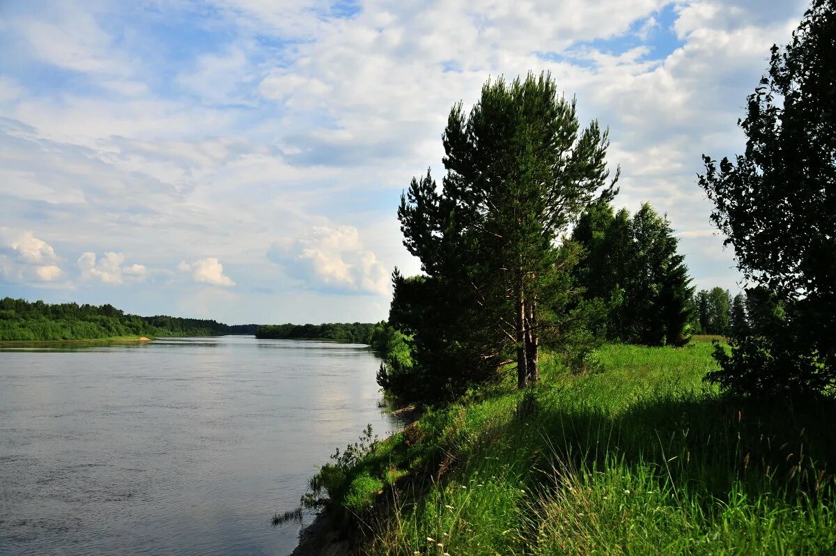 Река в сыктывкаре