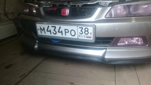 Лип губа