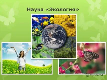 Наука детям окружающий 3 класс