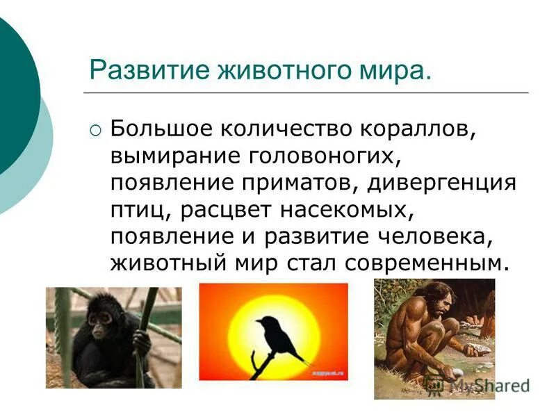 период расцвета птиц. расцвет птиц эра. мезозой археоптерикс. расцвет птиц эра. индрикотерий зденек буриан.