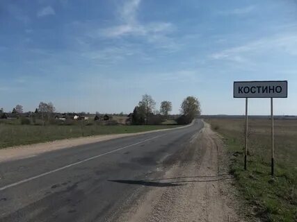 Костино омская область