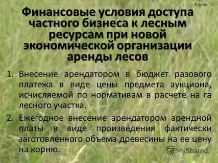 Постоянное пользование лесным участком