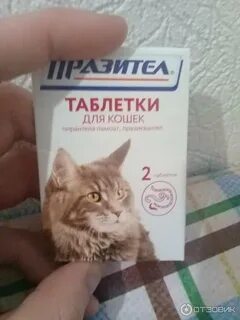 Глистогонное для кошек отзывы