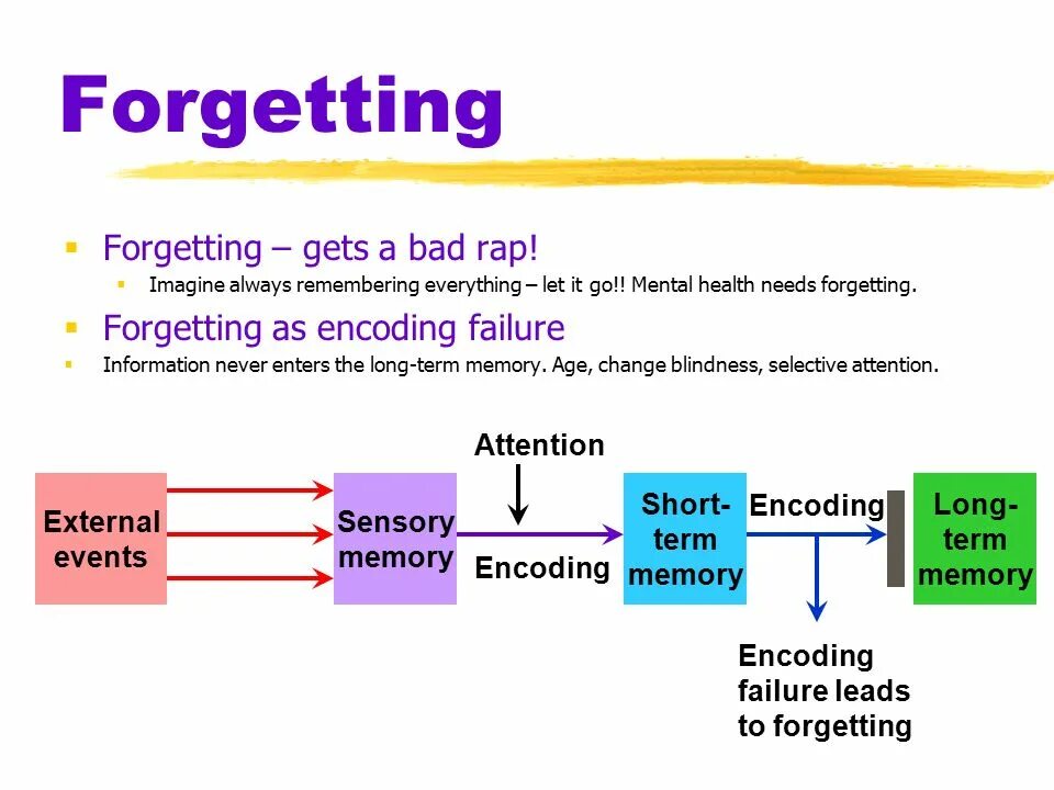 Memory it is. Short term memory. encoding information. long term memory. sensory memory.